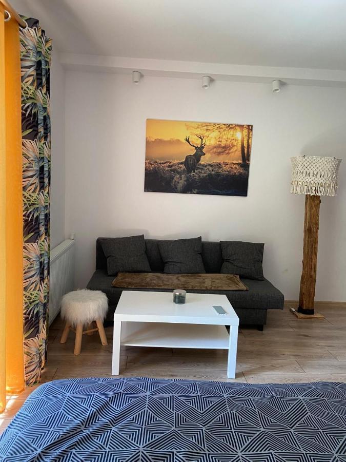Jeleni Ruczaj Hotel Karpacz Kültér fotó